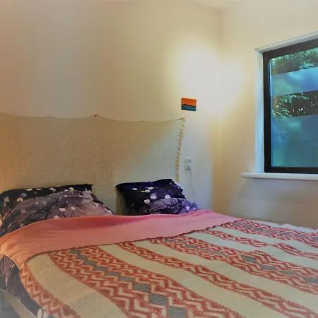 Colorful Comfort In This Bungalow Near A Lake, Beach, Dunes And Sea Hébergement de vacances *